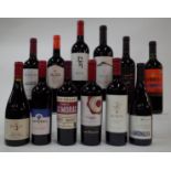 12 BOTTLES CHILEAN RED WINE