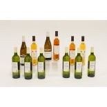 TWELVE BOTTLES OF MIXES WINES INCLUDING SIX BOTTLES OF CHATEAU DE RHODES GAILLAC 2014 (12)