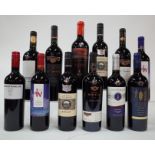 12 BOTTLES CHILEAN RED WINE