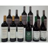 12 BOTTLES ARGENTINIAN RED WINE