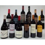 12 BOTTLES SPANISH RED WINE