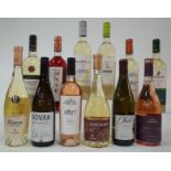 12 BOTTLES MOLDOVAN WHITE AND ROSÉ WINE