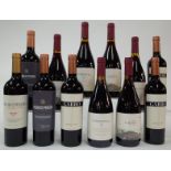 12 BOTTLES ARGENTINIAN RED WINE