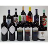 12 BOTTLES SPANISH RED WINE