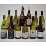 11 BOTTLES NEW ZEALAND AND 1 SOUTH AFRICAN SAUVIGNON BLANC