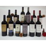 12 BOTTLES ARGENTINIAN RED WINE