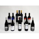 12 BOTTLES CHILEAN RED WINE