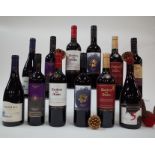 12 BOTTLES CHILEAN RED WINE