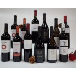 12 BOTTLES ARGENTINIAN RED WINE