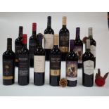 12 BOTTLES ARGENTINIAN RED WINE