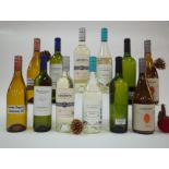 12 BOTTLES ARGENTINIAN WHITE WINE