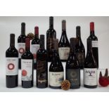 12 BOTTLES ARGENTINIAN RED WINE