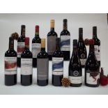 12 BOTTLES CHILEAN RED WINE