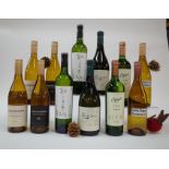 12 BOTTLES ARGENTINIAN WHITE WINE