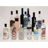 A COLLECTION OF THIRTEEN BRITISH VODKA BOTTLES (13)