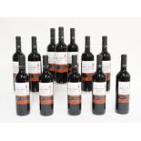 TWELVE BOTTLES OF RIBERA DEL DUERO TEMPRANILLO RESERVA 2011 (12)