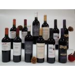 12 BOTTLES ARGENTINIAN RED WINE