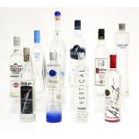 A COLLECTION OF TEN BOTTLES OF EUROPEAN VODKA (10)