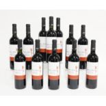 TWELVE BOTTLES OF RIBERA DEL DUERO TEMPRANILLO RESERVA 2010 (12)