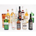 TWELVE BOTTLES OF SPIRITS TO INCLUDE PIMM'S, GRANT'S WHISKY AND GORDON'S GIN (12)