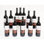 TWELVE BOTTLES OF RIBERA DEL DUERO TEMPRANILLO RESERVA 2011 (12)