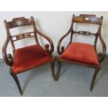 A near pair of Regency mahogany carver chairs, featuring gadrooned detail, ornately carved and
