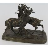 A late 19th century French cast bronze model of two stags sparring. Signed (Ferdinand) Pautrot.