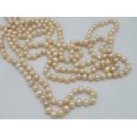 A 100" freshwater pearl necklace, approx 500cts, long line continuous length. All pearls
