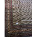 A good Persian Araak carpet in very good condition and colour good. 350 x 250.