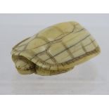 A Japanese carved ivory Netsuke, late 19th century of a turtle. Length: 4.5cm. signed to base.