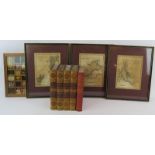 Vols 1-4 History of England by Smollett, Pub 1830, full leather bindings, The Water Babies by