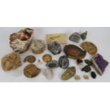 A collection of fossils and minerals including ammonites, tribolites, amethyst, pyrites and