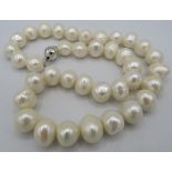 A string of white freshwater cultured pearls, 18" length approx, with 9ct white gold ball clasp.