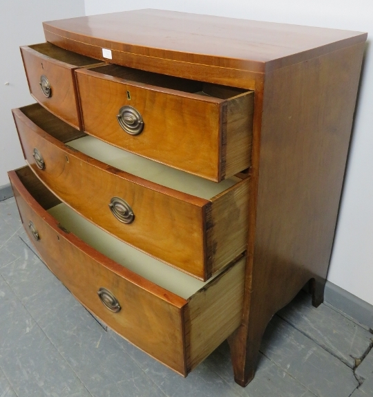 A Regency Period bow fronted mahogany chest of two short over two long graduated cock-beaded - Image 3 of 3