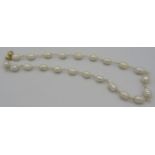 A fresh water pearl necklace, each pearl wired and on a 9ct yellow gold ball clasp, boxed. Condition