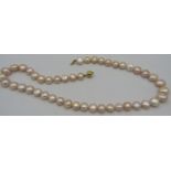 A fine strand of pink pearls with 14ct yellow gold ball clasp, approx 17" long, boxed. Condition