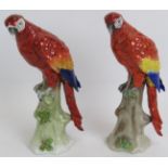 Two German porcelain figures of perched macaws, each with Sitzendorf marks to base. Height 24cm. (