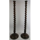 A pair of large antique mahogany barley twist candlesticks with brass floriate sconces. Height 92cm.