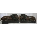 Imposing pair of bronze Chatsworth style lions, hollow cast in patinated bronze. Length 80cm.