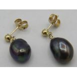 A pair of 9ct yellow gold drop stud earrings with suspended mauve/black fresh water pearls, boxed,