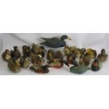 Twenty hand painted carved wood decoy style ducks of varying size and colours. Largest 40cm long. (