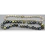 A strand of South sea shell pearl necklace. Individually knotted with a 14ct yellow gold ball clasp.