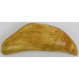 A South Pacific Fijian Tabua sperm whale tooth, possibly 18th/19th century. Fashioned with a