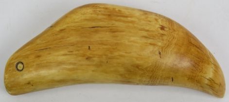 A South Pacific Fijian Tabua sperm whale tooth, possibly 18th/19th century. Fashioned with a
