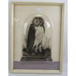 Graham Clarke (b.1941) - 'Owl', pencil signed proof etching, inset Perspex cover to simulate a glass