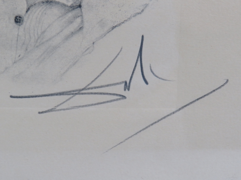 Salvador Dali (Spanish, 1904-1989) - 'Picasso L'Emperor', pencil signed sepia lithograph "EA", - Bild 3 aus 5