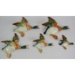 A vintage set of five Beswick pottery flying duck wall plaques. Largest 29cm high. (5). Condition