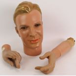 A vintage male mannequin head marked D.A.R 238, plus two carved wood, mannequin hands both bearing