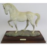 A Royal Doulton ceramic figure of a Lipizzaner horse, limited edition numbered: 199/1500. Modelled