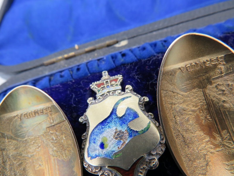 A set of decorative gilded Bermudian teaspoons with enamelled fish and crown decoration. Approx - Image 3 of 3